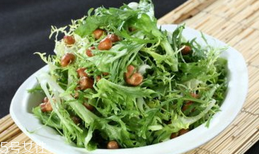 苦菊有哪些功效和作用？苦菊是屬于菊花的一種