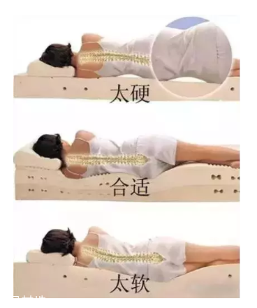 床越軟越好嗎？軟床導(dǎo)致駝背