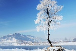 大寒穿什么衣服？教你保暖的搭配