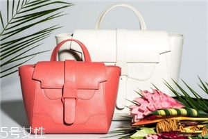 senreve包包多少錢？堪比lv的包包潛力股
