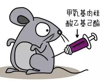 自然堂隔離霜孕婦可以用嗎？含有孕婦禁用成分