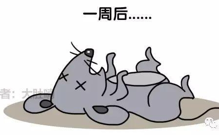 自然堂隔離霜孕婦可以用嗎？含有孕婦禁用成分