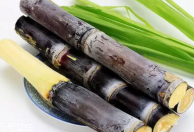 甘蔗的吃法有什么不同？吃法不同療效不同