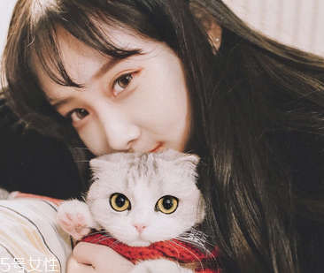 補佳樂一天最多吃幾粒？補佳樂過量有害