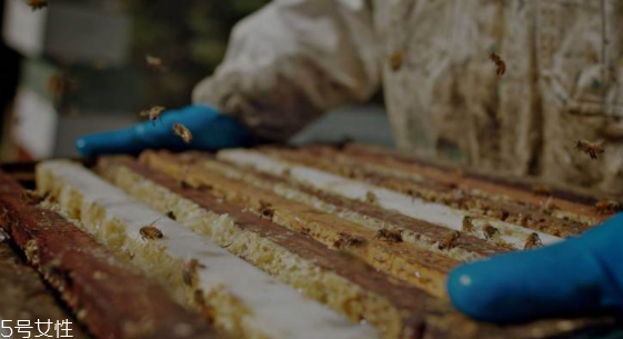 麥盧卡蜂蜜有什么驚人功能？?jī)?nèi)服外敷功能強(qiáng)大