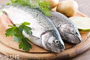 冬天吃魚有何禁忌？四大禁忌需注意