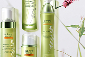 植物智慧適合什么年齡？各個年齡都可以駕馭