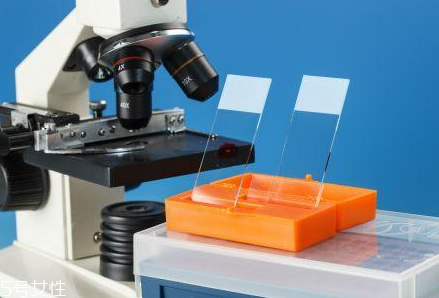 取病理真的是扯塊肉嗎？不疼也無(wú)傷害