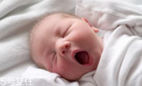 香蕉能安眠嗎？富含鎂元素讓人安眠