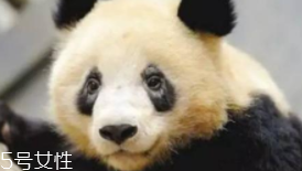 黑眼圈為什么睡夠了還是去不掉？體質(zhì)原因也會(huì)造成黑眼圈