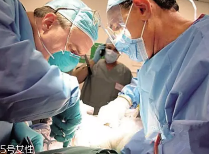 冷凍遺體能活過來嗎？木乃伊完全不可能蘇醒