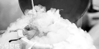 冷凍遺體能活過來嗎？木乃伊完全不可能蘇醒