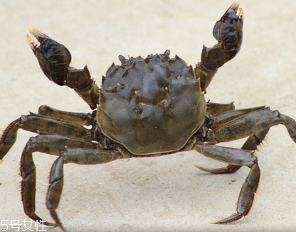 蜘蛛痣吃什么好？揭秘人體天生8大缺陷