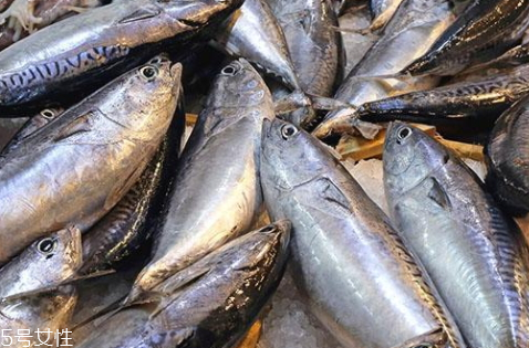 金槍魚(yú)為什么要冷凍 冷凍金槍魚(yú)你知道多少