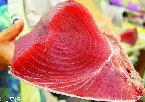 金槍魚(yú)為什么要冷凍 冷凍金槍魚(yú)你知道多少