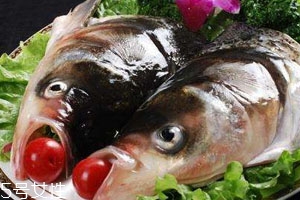 魚頭為什么會(huì)苦 可能是魚膽的原因