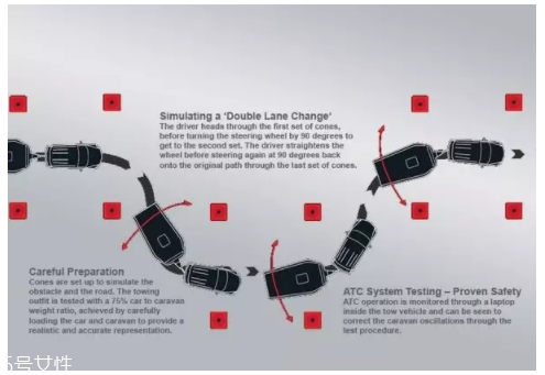 開車前為什么要拍拍車蓋？預防傷害流浪小動物
