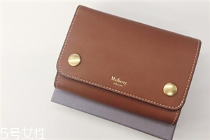 mulberry錢包多少錢？celine平價替代
