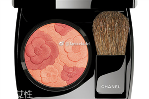 香奈兒山茶花雙色腮紅好用嗎？秋季限定新款