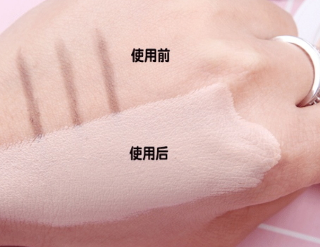 perfect skin雪花磁石氣墊有替換裝嗎？