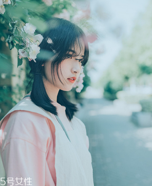 鹿胎膏會(huì)發(fā)胖嗎？鹿胎膏無(wú)致胖風(fēng)險(xiǎn)