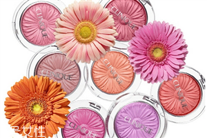 倩碧菊花腮紅色號(hào)有哪些？新手也能輕松掌握