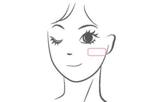 倩碧菊花腮紅色號(hào)有哪些？新手也能輕松掌握