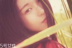 鹿胎膏能天天吃嗎？天天吃也不好