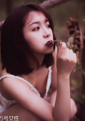 鹿胎膏能天天吃嗎？天天吃也不好