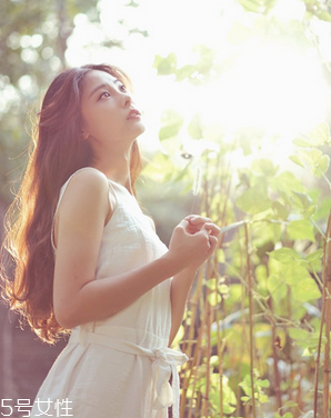 鹿胎膏可以促進(jìn)排卵嗎？關(guān)于排卵的那些事