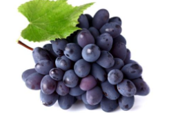 葡萄籽補劑要不要買？不如早睡早起