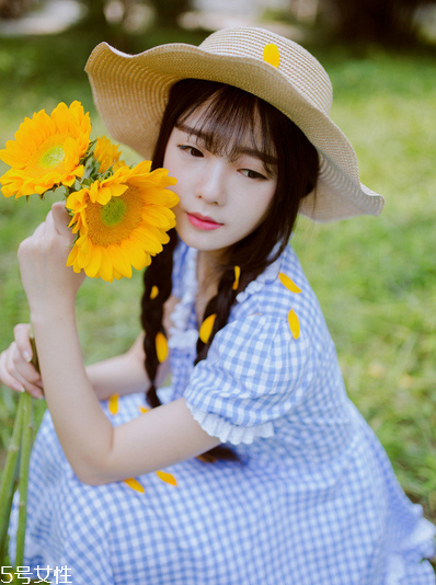 紅花逍遙片多少錢一盒？紅花逍遙片物廉價美