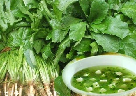 薺菜能和木耳一起吃嗎？一起吃好處多多
