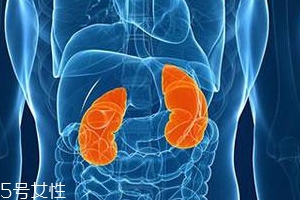 喝完水就尿腎不好嗎？正常人在白天排尿6次左右