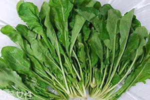 薺菜包餃子需要焯水嗎？小心有苦澀的味道