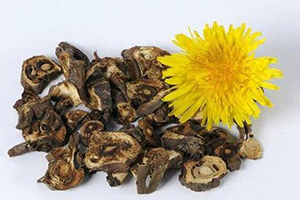 蒲公英泡茶可以放糖嗎？不要只看重味道