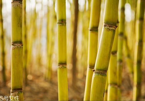 甘蔗熬水可以止咳嗎？來看看做法