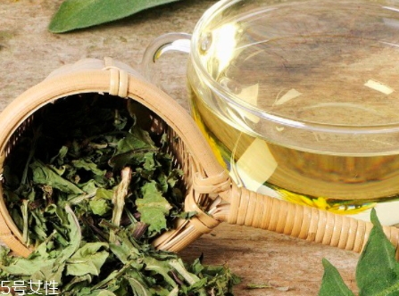 蒲公英茶能減肥嗎？要這樣搭配