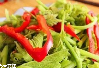 南瓜藤的功效與作用 冬季吃南瓜藤的好處多多 南瓜藤的功效與作用 冬季吃南瓜藤的好處多多