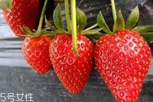 寶寶咳嗽可以吃草莓嗎？看是什么類型的咳嗽