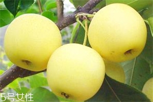 哺乳期吃梨有什么好處？梨子能做面膜