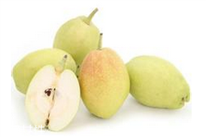 梨子核吃了會怎樣？梨子的含糖量較高