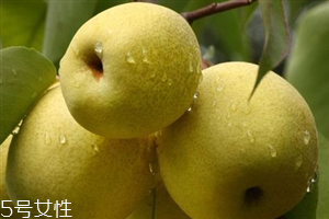 晚上吃梨子會胖嗎？梨不能和開水一起吃