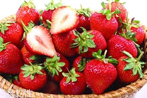 草莓和蘋果可以一起吃嗎？并沒與什么沖突