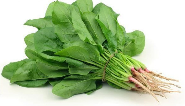 兒童護眼吃什么好 葉黃素VS維生素A