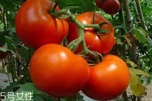 空腹不能吃什么？這4種最好不要吃