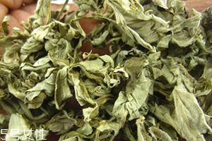 艾葉水可以洗外陰嗎？可以起到殺菌的作用