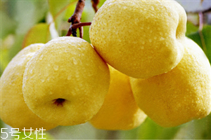 哪些人不宜吃水晶梨？水晶梨的功效與作用