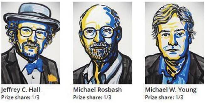 雅詩蘭黛小棕瓶精華+小棕瓶雙層面膜深度評測 雅詩蘭黛小棕瓶精華+小棕瓶雙層面膜深度評測