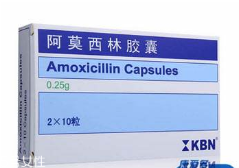 阿莫西林好還是羅紅霉素好？適合的才是最好的